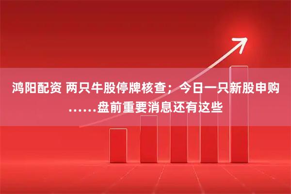 鸿阳配资 两只牛股停牌核查;今日一只新股申购……盘前重要消息还有这些
